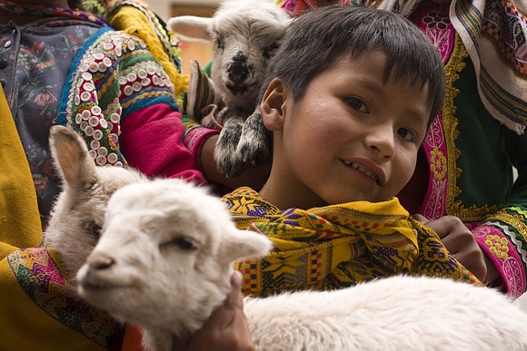 'Young Boy and Goats' Peru