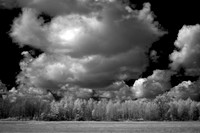 Black and White Landscapes (ENTER)