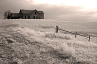 "Beautiful Abandon" in a different light
