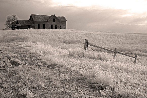 'Beautiful Abandon"