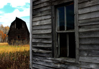 Beautiful Abandon (ENTER)