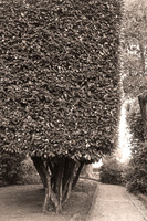 Black and White Landscapes